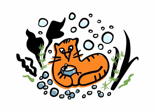 Red cat hugs an aquarium with fish. A cat looking at a fish in an aquarium in surprise. Background from the elements of filling the aquarium. Cartoon illustration in flat and outline style