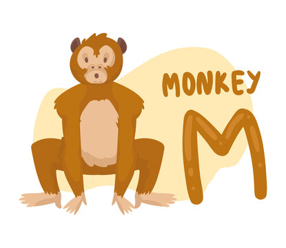 monkey and m letter
