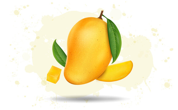 Fresh mango with mango slice and leaves vector illustration