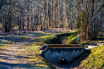 forest trail along a water ditch with a stone bridge in early spring, spring landscape
