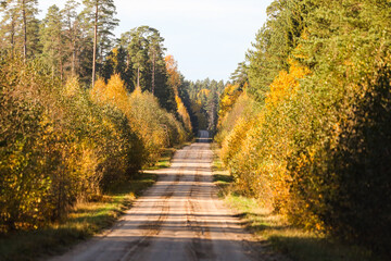 Fototapeta na wymiar Beautiful autumn view of old gravel road through lovely view of shiny autumn forest in orange, yellow colors.