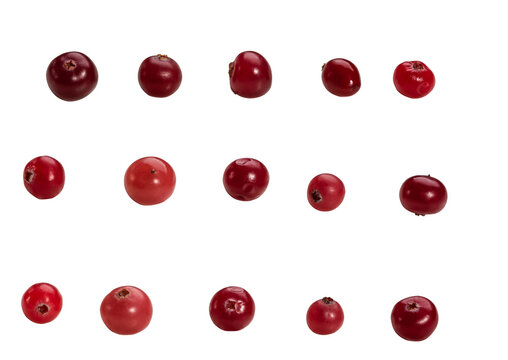 Ripe red cranberries arranged isolated on white background