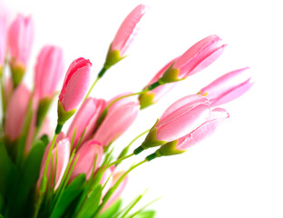 Artificial pink flowers on a white