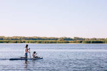 Fototapeta na wymiar Mother and small daughter paddle boarding together on one sup on lake rowing with oars with reeds and blue sky in background. Active lifestyle. Teaching children to love sports from childhood.