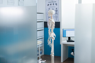 Obraz premium Side view of human skeleton model standing in empty hospital office with nobody in it ready for patient osteopathic examination. Anatomical body structure used as medical equipment. Medicine concept