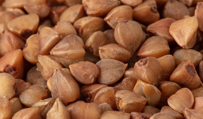 Close-up of buckwheat groats as background.