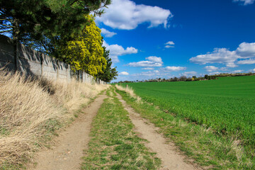 Field path around concrete fence in spring day.