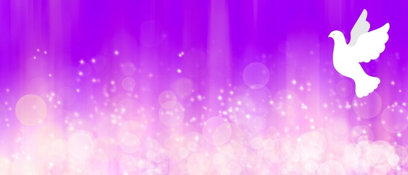 Banner con colomba bianca che vola. Sfondo grafico viola bokeh e luce magica raggiante. Pasqua. Pentecoste. Natale 