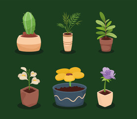 six houseplants decorative icons