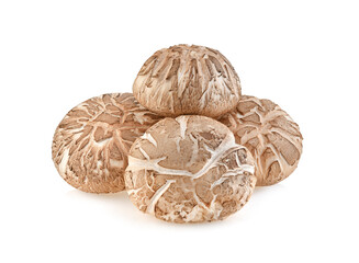 Shiitake Mushrooms isolated on white background