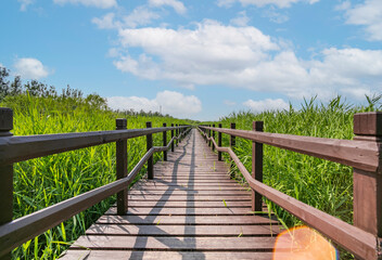 Scenery of Tianjin Xiqing Country Park