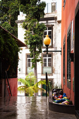 Urban landscape. Funchal city street with after rain. Madeira Island