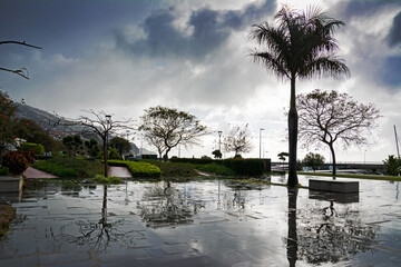 Beautiful promenade of the city of Funchal, Madeira island. Embankment after the rain.