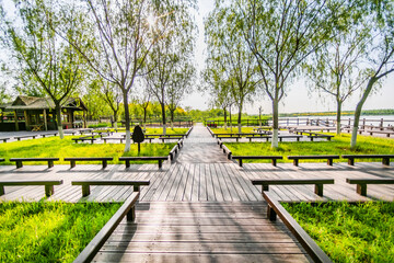 Scenery of Tianjin Xiqing Country Park