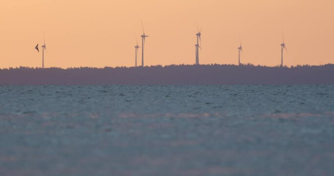 Curonian Lagoon with the wind power plants on the background at the sunrise. Lithuania. Slowmotion 4K DCI 100 fps