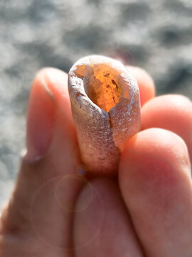 Donnerkeil in der Hand eines Spazierg&auml;ngers