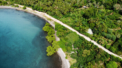 Thriving mangroves and dense forest growing along the coastline of tropical island of Atauro in...