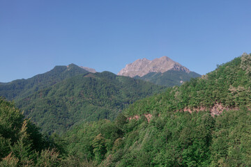 Sutton Mountains scenery . Forest growing on the mountains