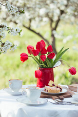 breakfast in the spring garden