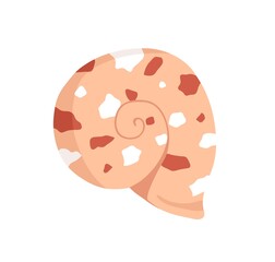 Snail sea shell. Marine underwater twisted seashell of spiral shape. Undersea mollusc. Swirled mollusk, shellfish. Under water conch, clam. Flat vector illustration isolated on white background