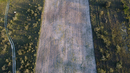 krajobraz widok pola wiosna rośliny  © Piotr