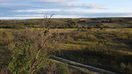 krajobraz widok pola wiosna rośliny  © Piotr