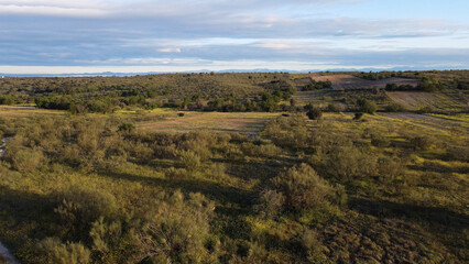 krajobraz widok pola wiosna rośliny  © Piotr