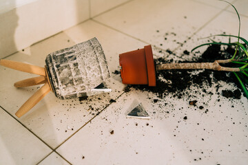 Broken flower pot on the floor with spilled soil and damaged plant. Home chores - cleaning the dirt...