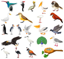Different kinds of birds collection