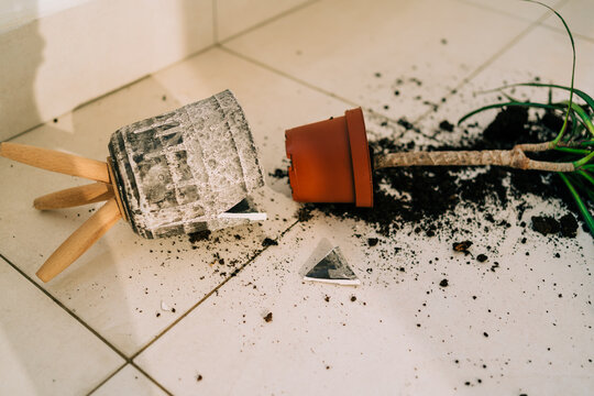 Broken flower pot on the floor with spilled soil and damaged plant. Home chores - cleaning the dirt from broken flowerpot. Flower accident with shattered ceramic pot and messy dirt on the balcony