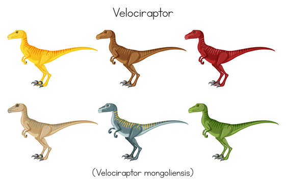 Velociraptor in different colors