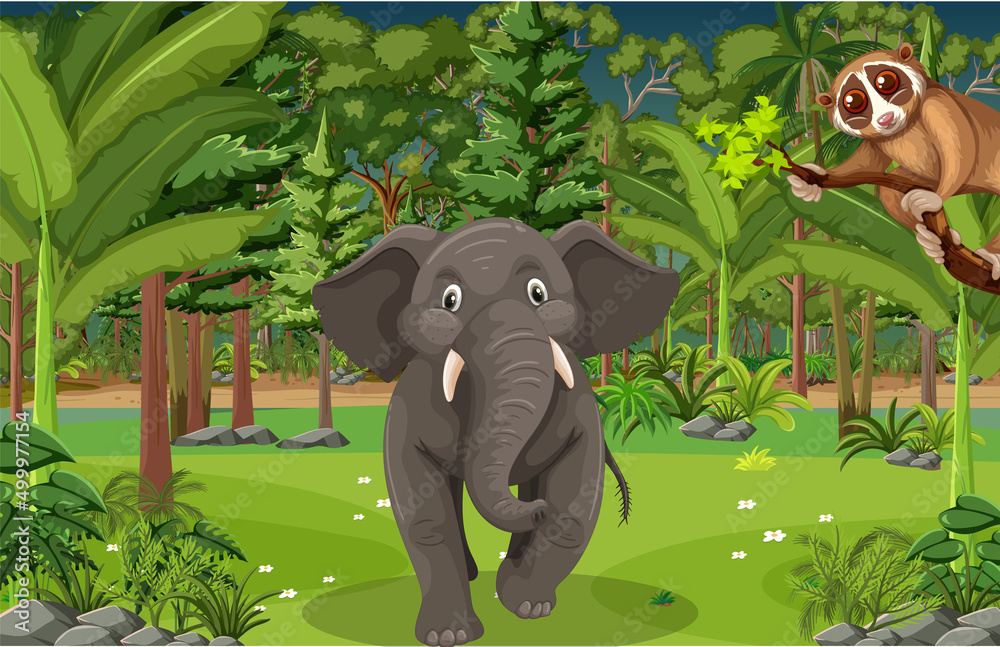 Wall mural forest scene with an elephant and loris