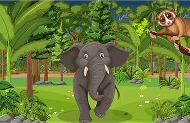 Forest scene with an elephant and loris