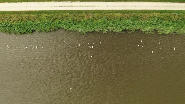 Aerial shot of Kroku Lanka Lake with birds flying above the lake. 4K 25fps