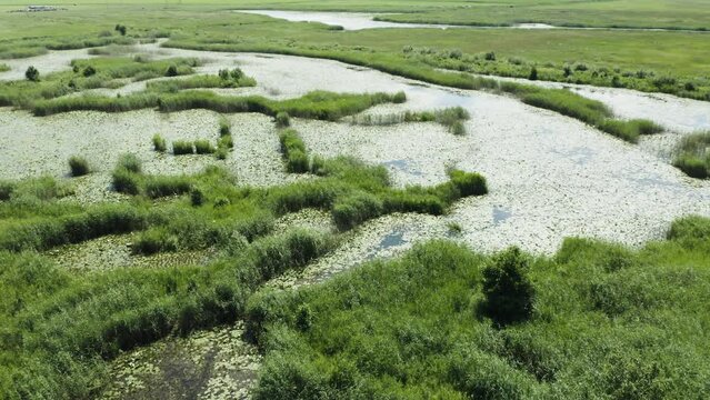 Aerial shot of Lithuanian meadows. Rusnė. 4K 25fps