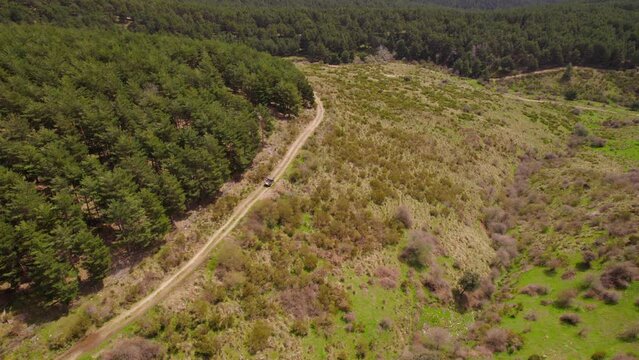 Aerial view showing Buggy Vehicle driving on rural road at sunset surrounded by green fields and plants - El Espinar,Spain