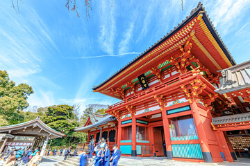 初春の鶴岡八幡宮　神奈川県鎌倉市　Tsurugaoka Hachimangu in early spring....