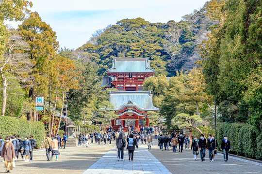 初春の鶴岡八幡宮　神奈川県鎌倉市　Tsurugaoka Hachimangu in early spring. Kanagawa-ken Kamakura city.	