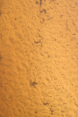 yellow sand is visible through the clear water of the river in the sun