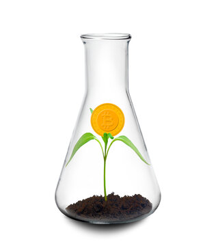 Bitcoin growth, conceptual image