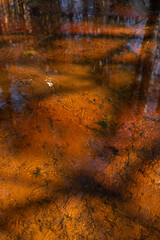 yellow sand is visible through the clear water of the river in the sun