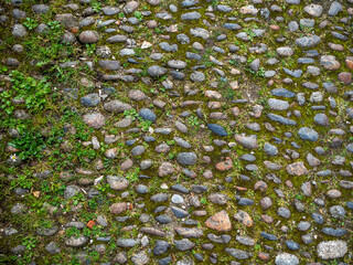 imagen textura suelo de piedras redondas con las juntas de cemento y hierbas verdes 