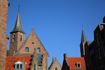 Fototapeta na wymiar Medieval and historic architecture (with turrets) around the Abbey (Abdij) of Middelburg, Zeeland, Netherlands, with its impressive carvings