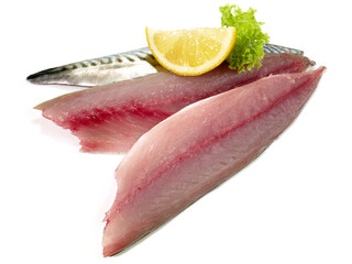 Mackerel Fillets - Raw Mackerel Fish on white Background