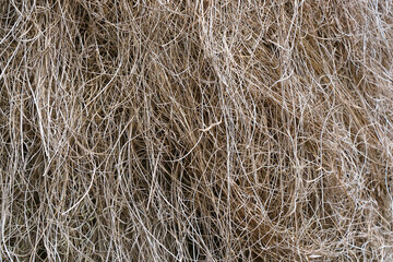 Gray hay texture. Nature background. Natural color.