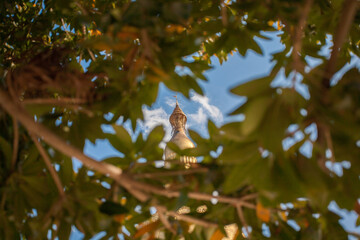 Shwemawdaw Pagoda, It's often referred to as the Golden God Temple. At 375 feet in height and the tallest pagoda in Myanmar