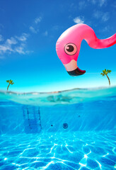 Curious inflatable flamingo and pool underwater split photo
