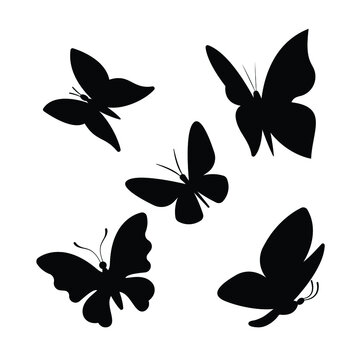 butterfly silhouettes swarm background