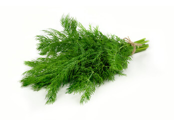 Bunch of fresh green dill isolated on white background