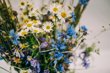 Fototapeta premium blumenstrauß